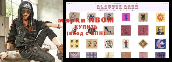 шишки Бородино