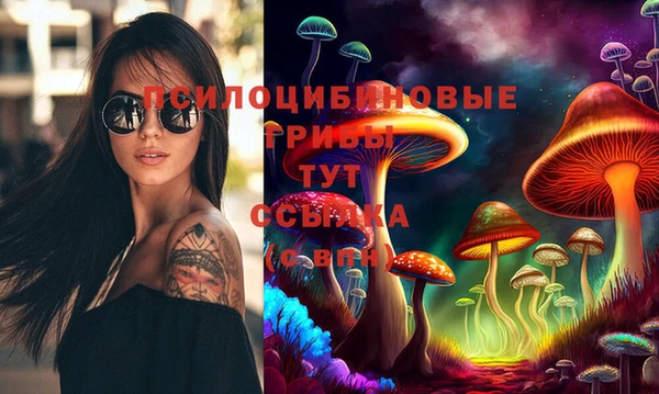 крисы Бугульма