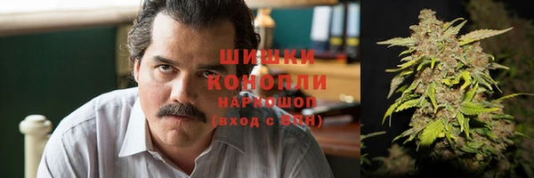 шишки Бородино
