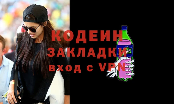 шишки Бородино