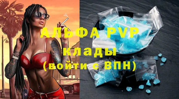 хмурый Верея
