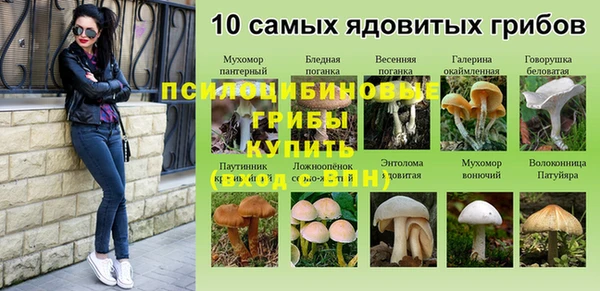 крисы Бугульма