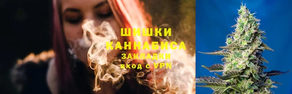 шишки Бородино