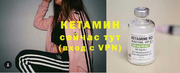 шишки Бородино