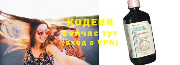 шишки Бородино