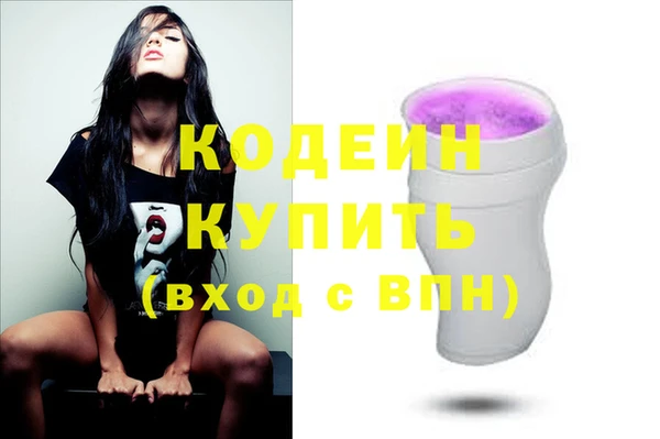 шишки Бородино