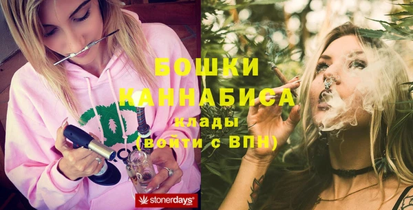 шишки Бородино