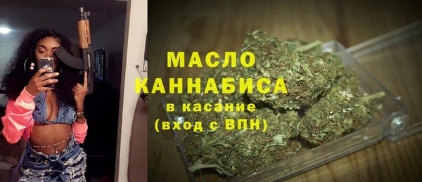 шишки Бородино