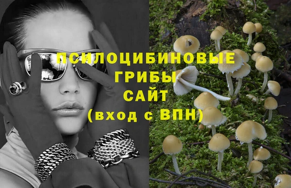 хмурый Верея