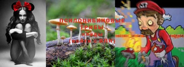 крисы Бугульма