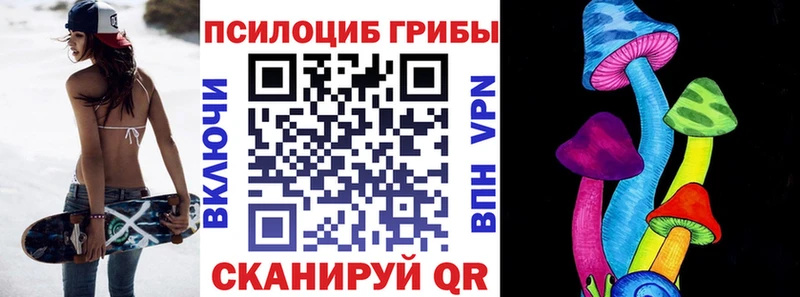 Псилоцибиновые грибы Psilocybine cubensis  Вилюйск 